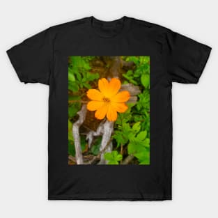 Sulfur Cosmos T-Shirt